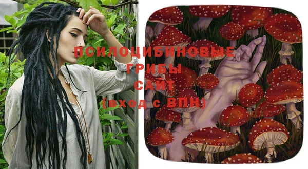 кокаин Арсеньев